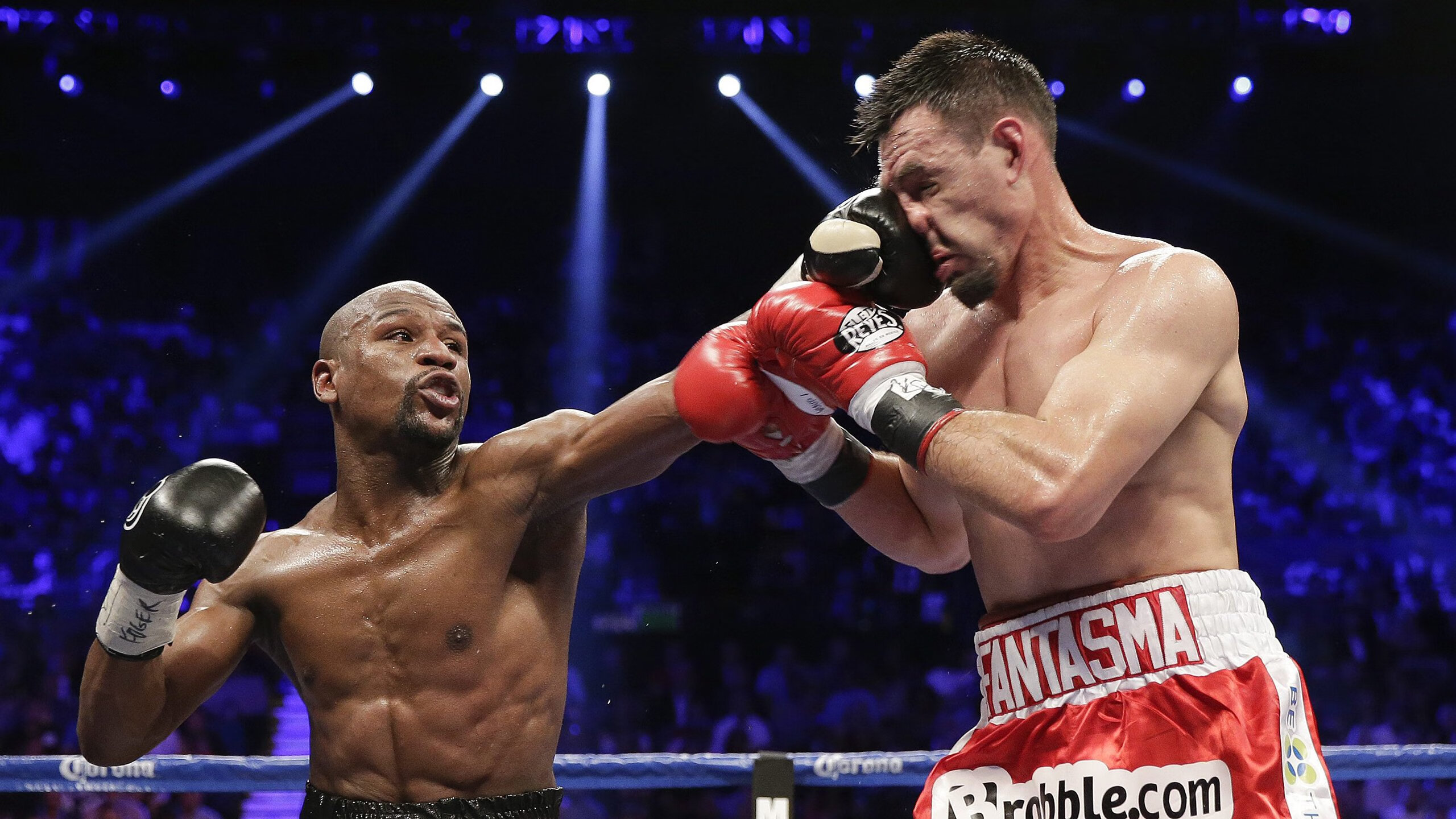 新秀大爆发,未来之星闪耀!,未来之星是谁